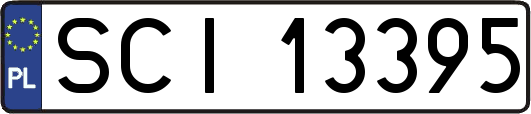 SCI13395