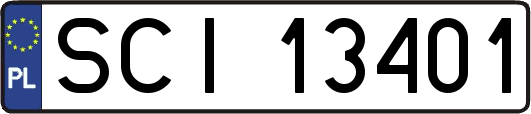 SCI13401
