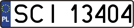 SCI13404