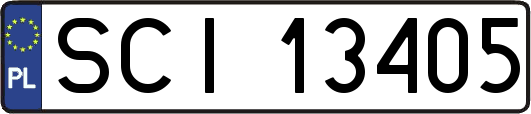 SCI13405