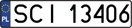 SCI13406
