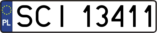SCI13411