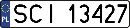 SCI13427