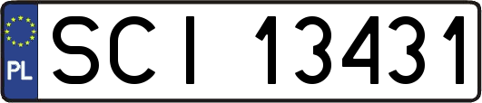 SCI13431