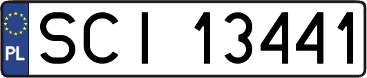 SCI13441