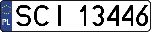 SCI13446