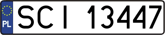 SCI13447