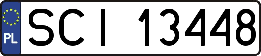 SCI13448