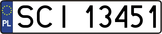 SCI13451