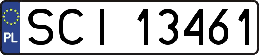 SCI13461