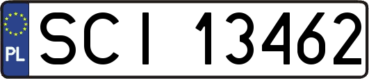 SCI13462