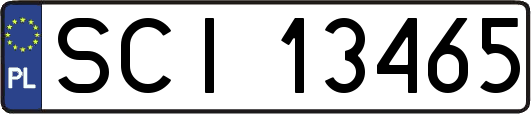 SCI13465