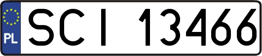 SCI13466