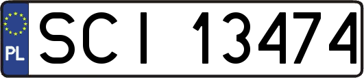 SCI13474