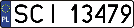 SCI13479