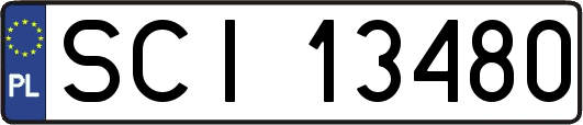 SCI13480