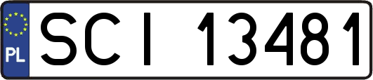 SCI13481