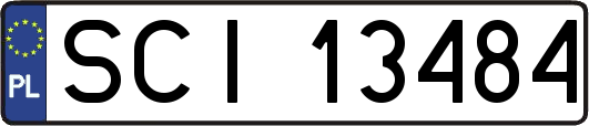 SCI13484