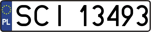 SCI13493