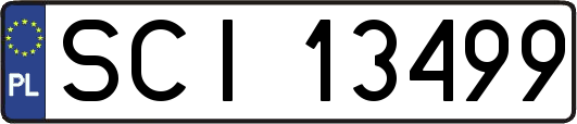 SCI13499