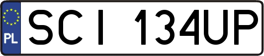 SCI134UP