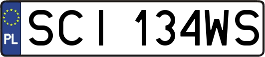 SCI134WS