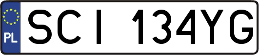SCI134YG