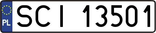 SCI13501
