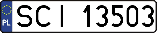 SCI13503