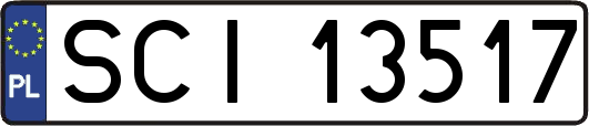 SCI13517