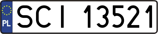SCI13521
