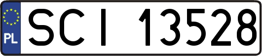 SCI13528