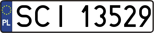 SCI13529