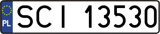 SCI13530