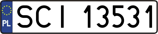 SCI13531