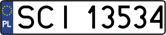 SCI13534