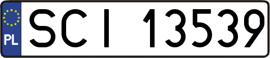 SCI13539