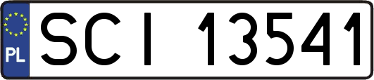 SCI13541