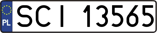 SCI13565