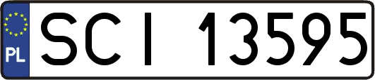 SCI13595