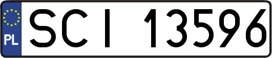 SCI13596