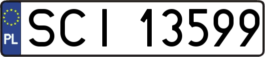 SCI13599