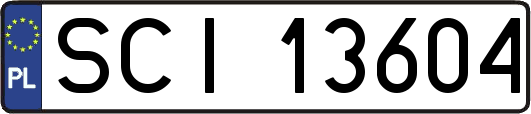 SCI13604