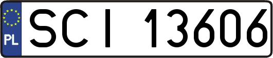 SCI13606