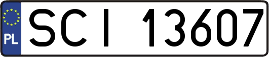 SCI13607