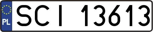 SCI13613