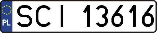 SCI13616
