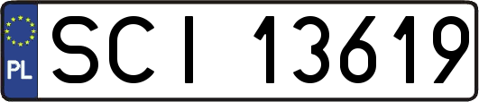 SCI13619