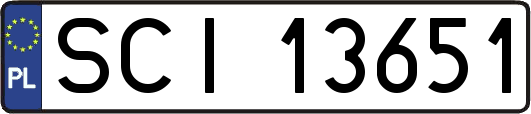 SCI13651