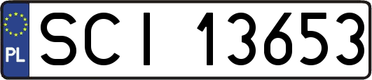 SCI13653